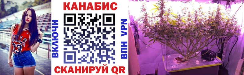 Канабис White Widow  Астрахань 